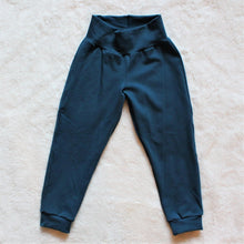 Load image into Gallery viewer, Kids&#39; Joggers - PREORDER Blended Thread Fabrics